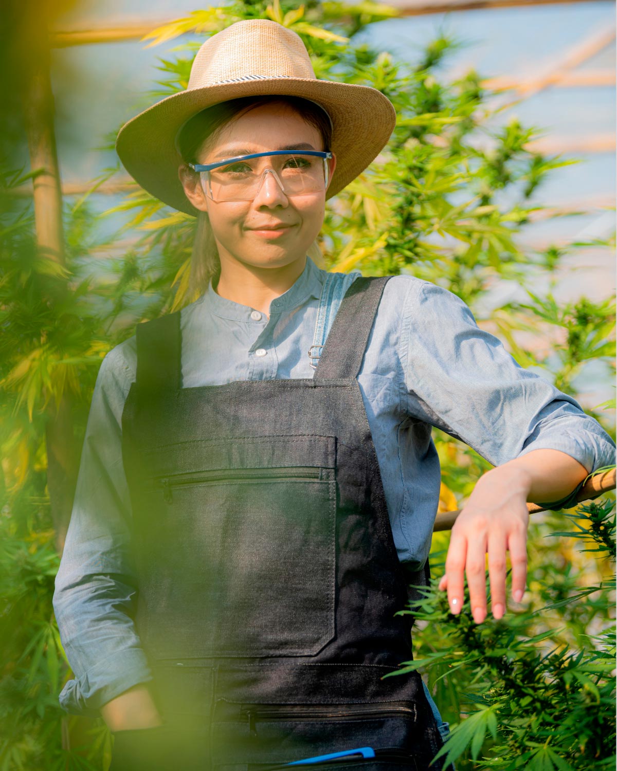 What is CBD